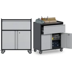 Metal Cabinet Storage on Wheels, Tool Cabinet with Wheels, Rolling Garage with 2 Doors/1 Adjustable Shelves